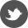 icon_foo_twitter